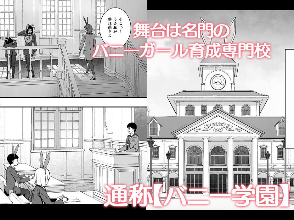 ようこそバニー学園へ!第01羽 d_817512 画像1