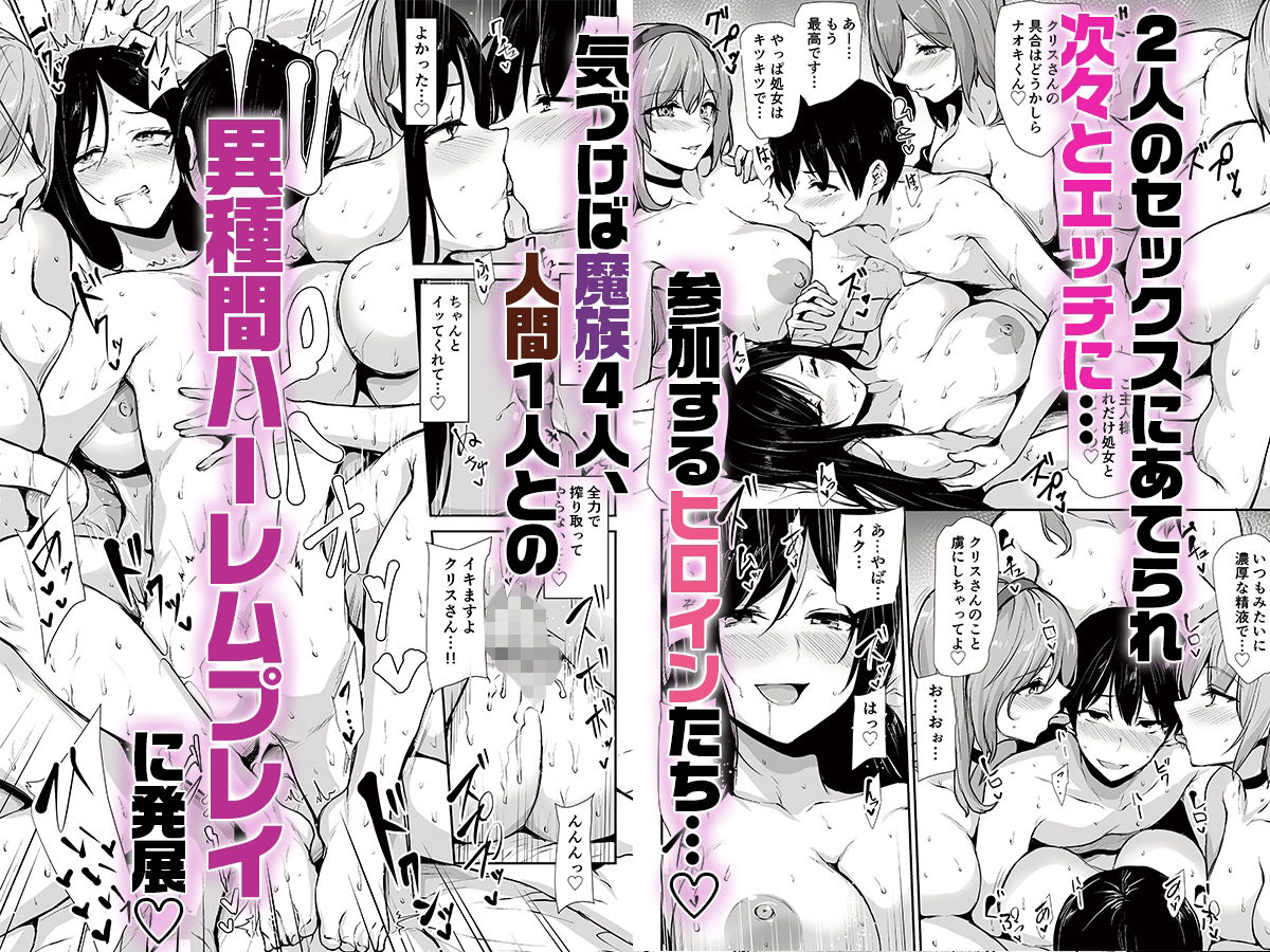 異世界ハーレム物語10 d_834015 画像3